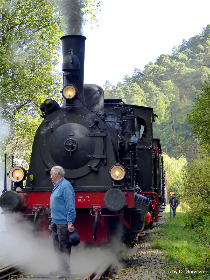 Der Traum für einen alten Eisenbahnfan-ein Foto vor der Lok!