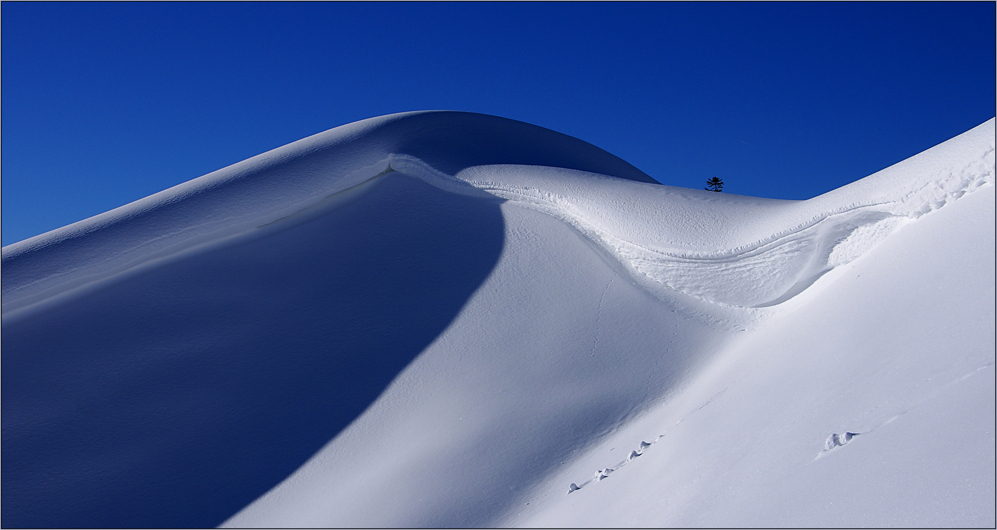 Der Traum vom Blauen 