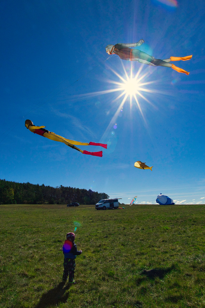 Der Traum vom Fliegen