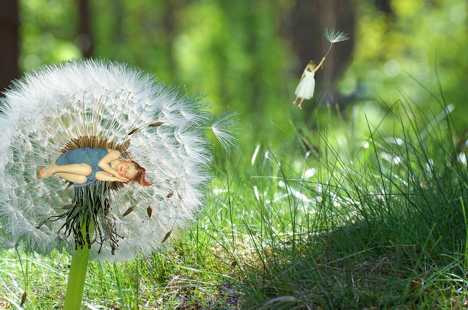 Der Traum vom Fliegen