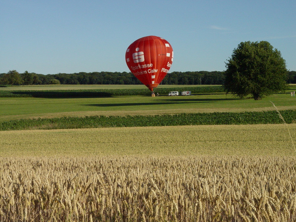 Der Traum vom fliegen