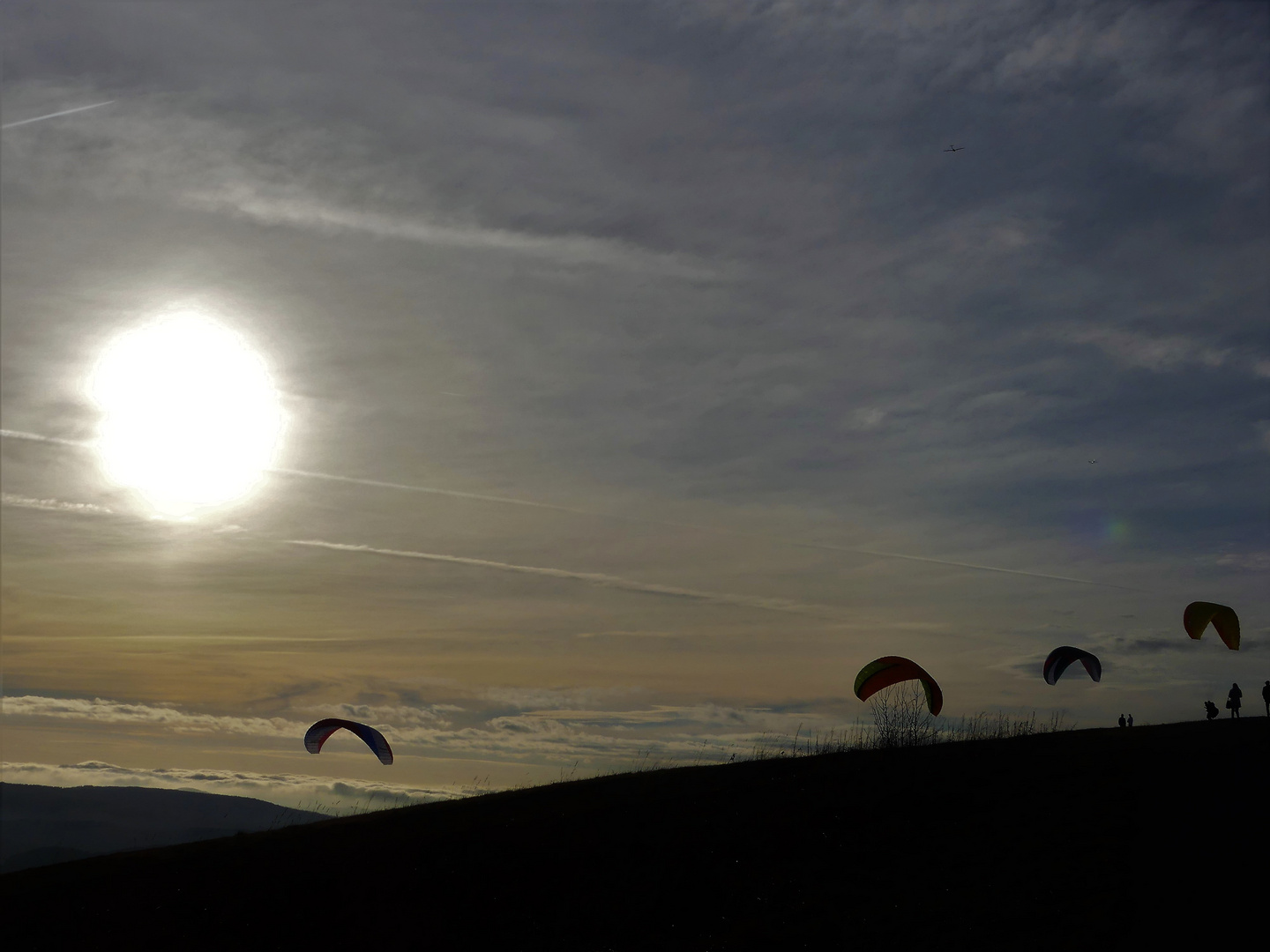 Der Traum vom Fliegen IV