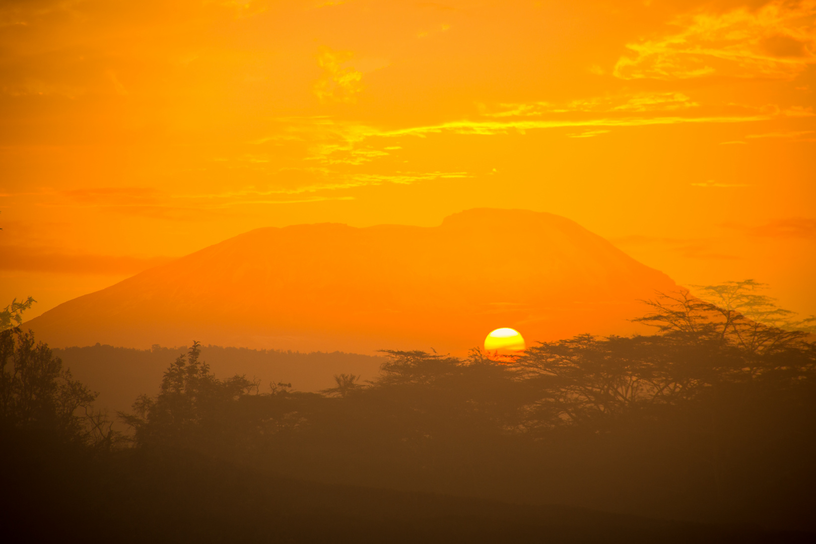 Der Traum vom Kilimanjaro