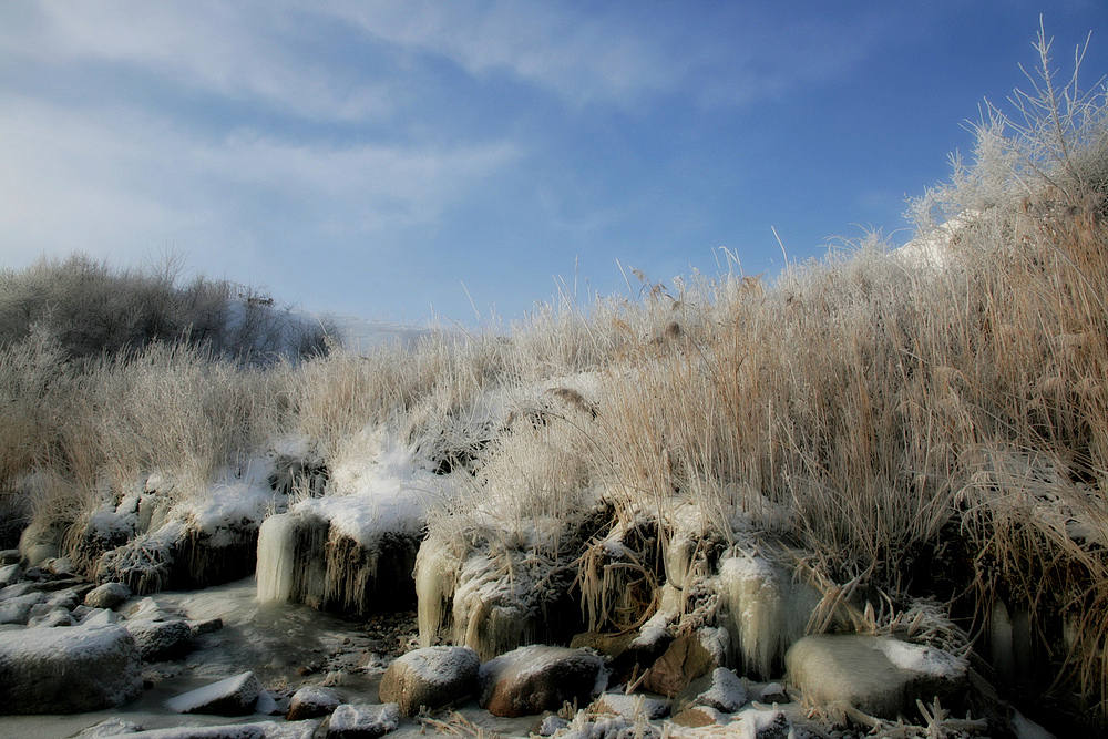 Der Traum vom Winter