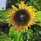 der Traum von einer Sonnenblume