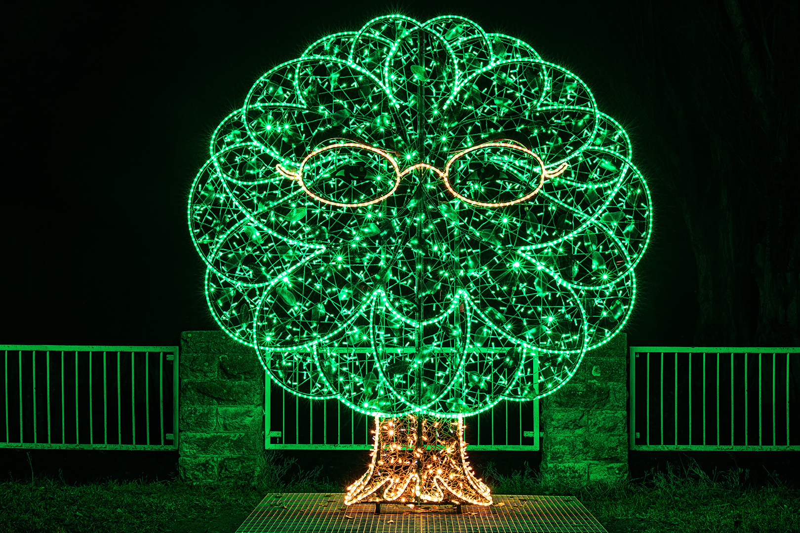 Der Traumzauberbaum...