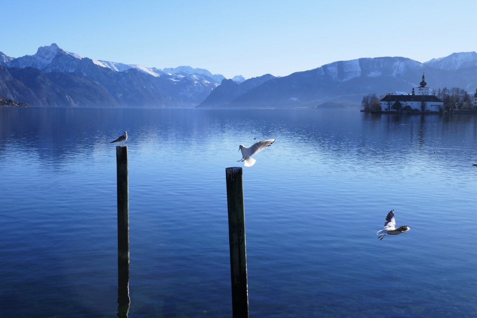 Der Traunsee im Winter