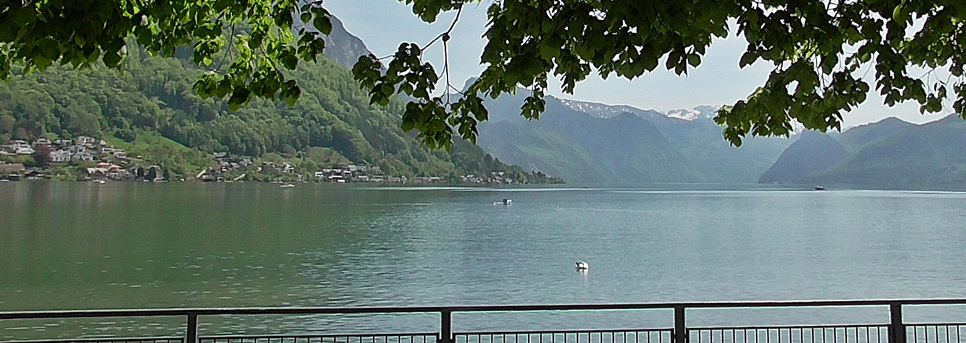 Der Traunsee in Gmunden / Österreich . 