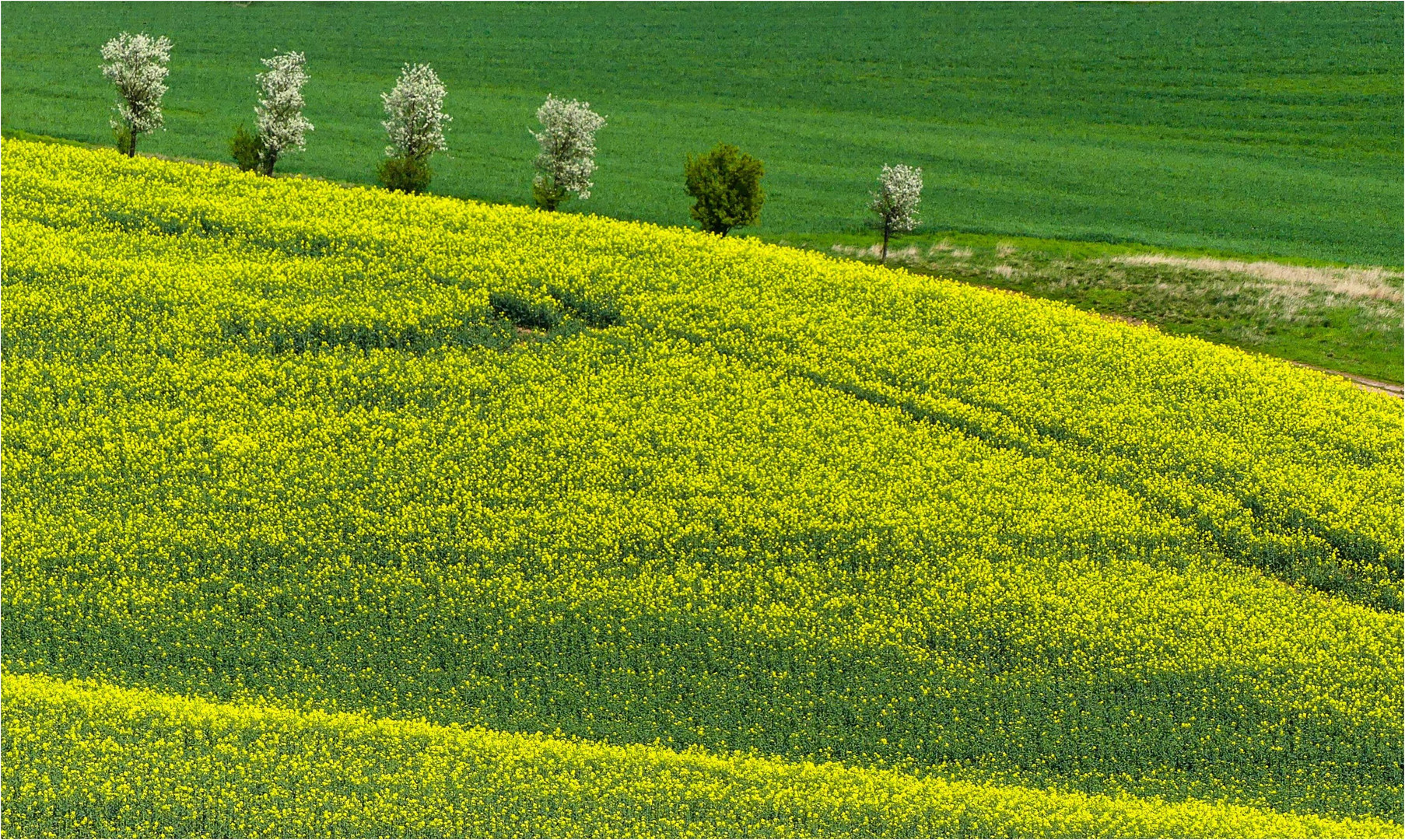 Der traurige Außenseiter