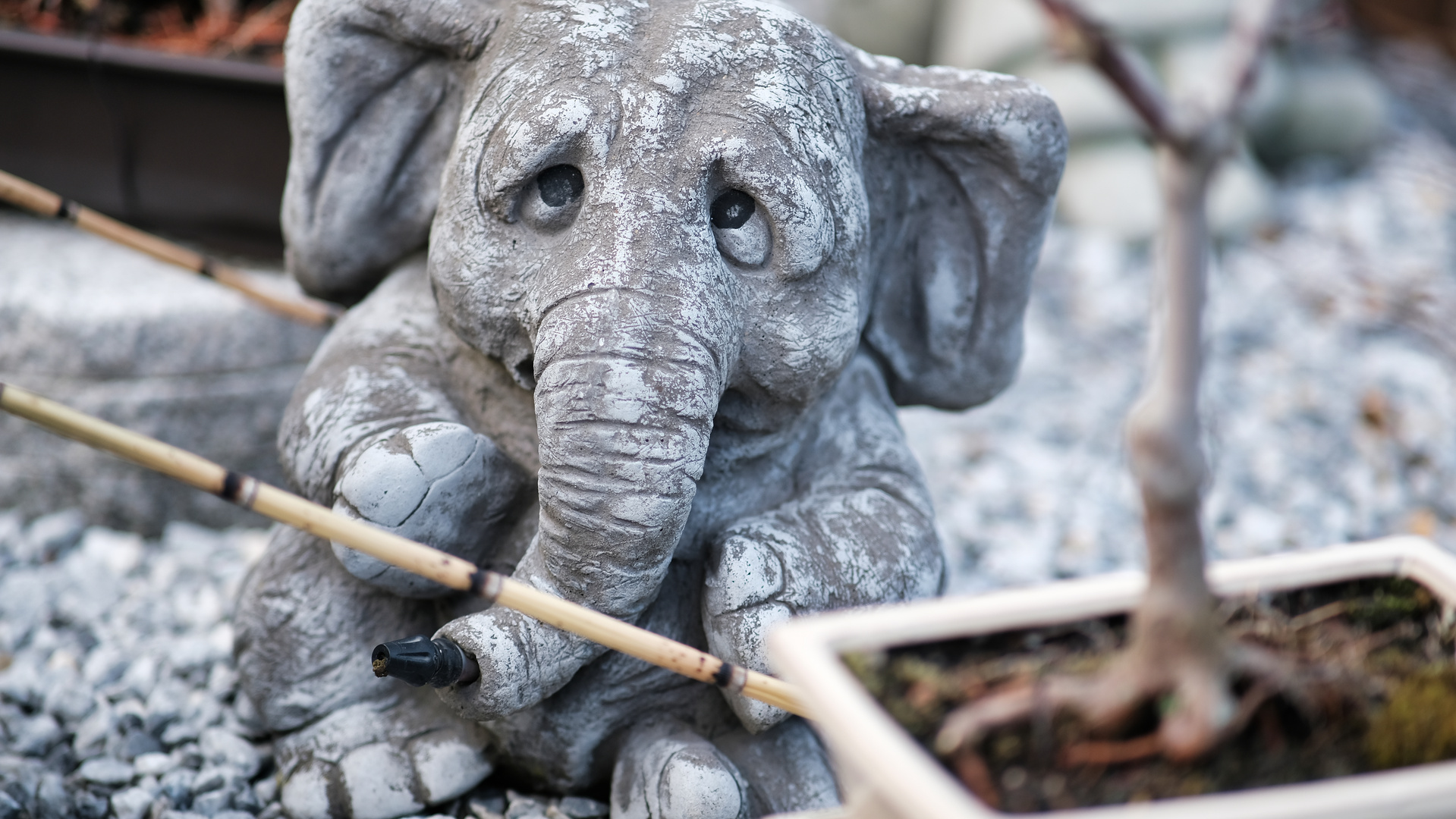 Der Traurige Elefant im Garten