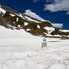 Der traurige Juni-Schneemann