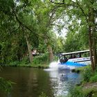 Der Trave Splash-Bus