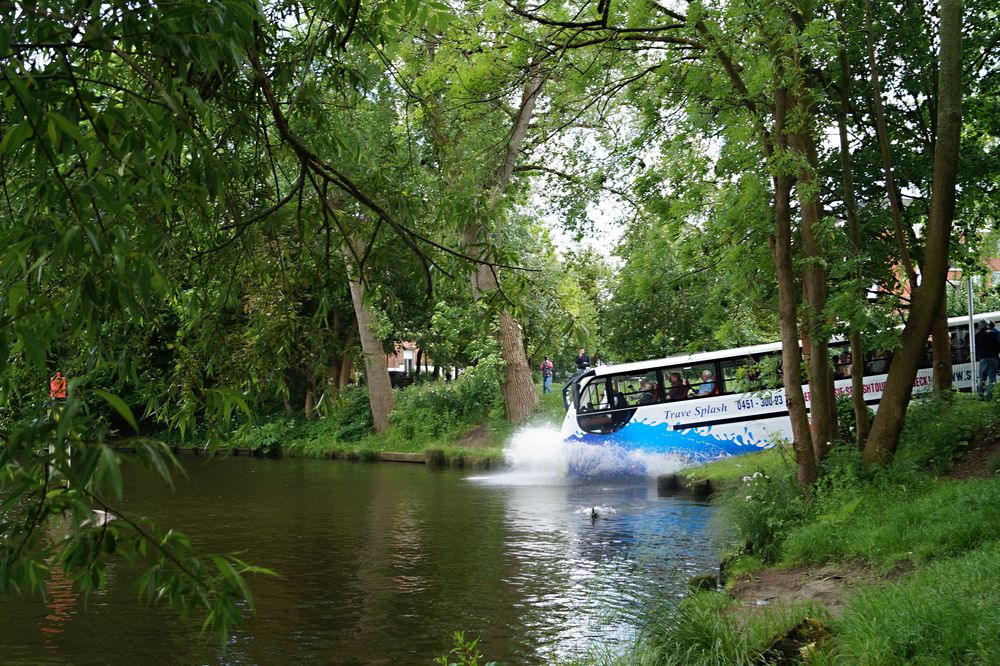 Der Trave Splash-Bus