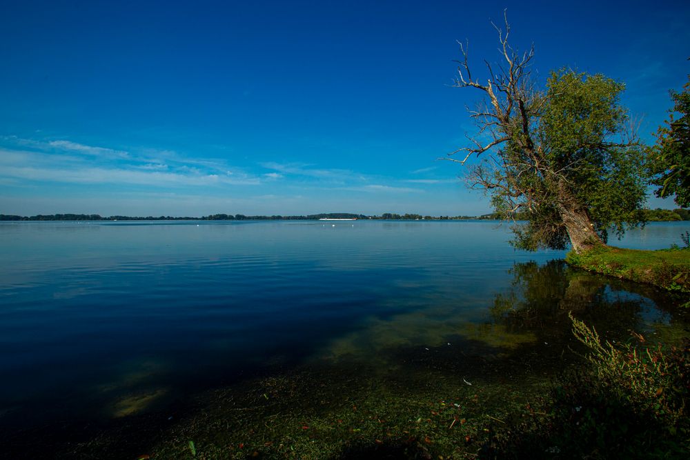 Der Trebelsee im September 