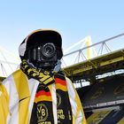 Der treuste BVB-Fan