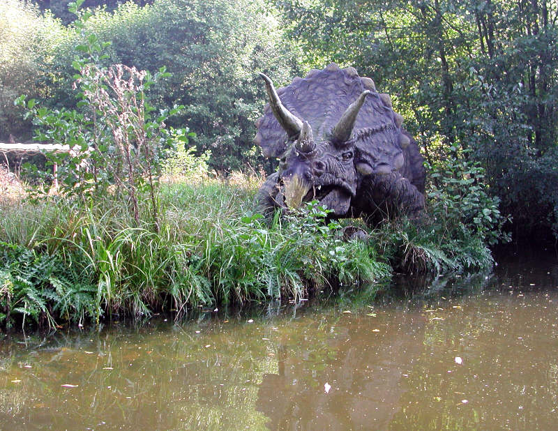 Der Triceratops