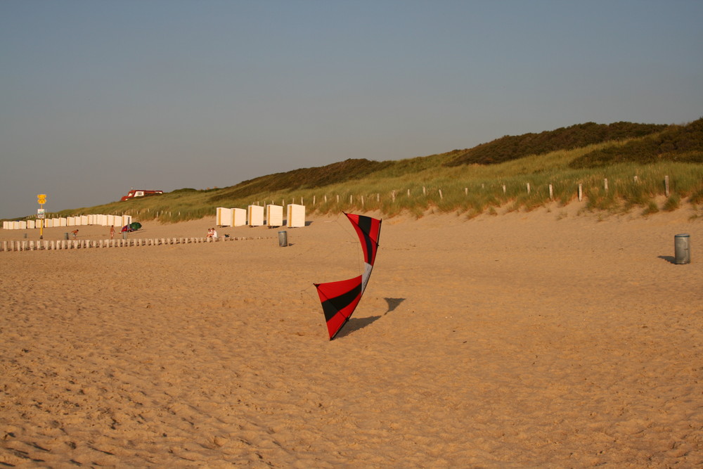 der trickser (revolution kite)