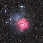 Der Trifid-Nebel im Sternbild Schütze