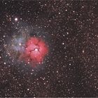 Der Trifid-Nebel im Sternbild Schütze