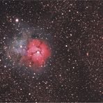 Der Trifid-Nebel im Sternbild Schütze