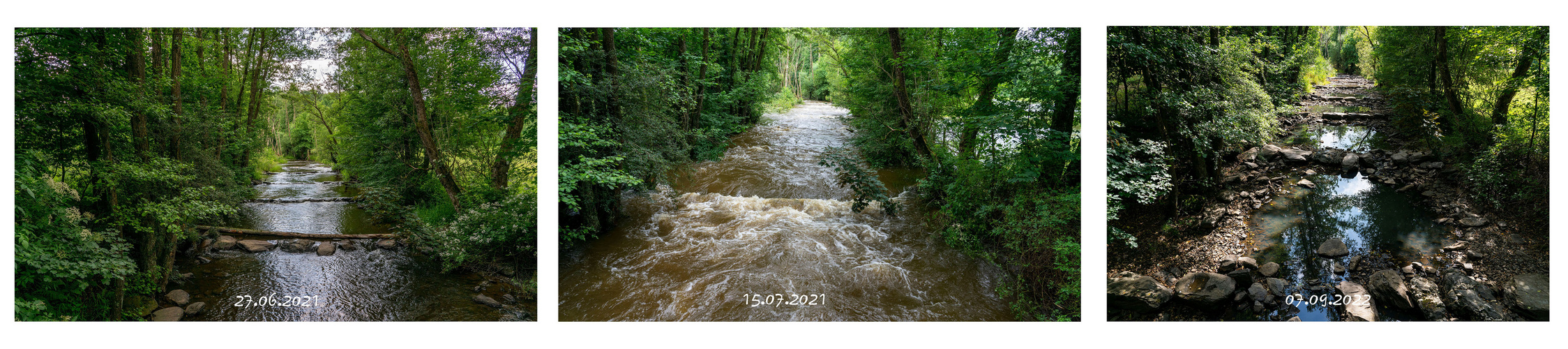 Der trockene Sommer