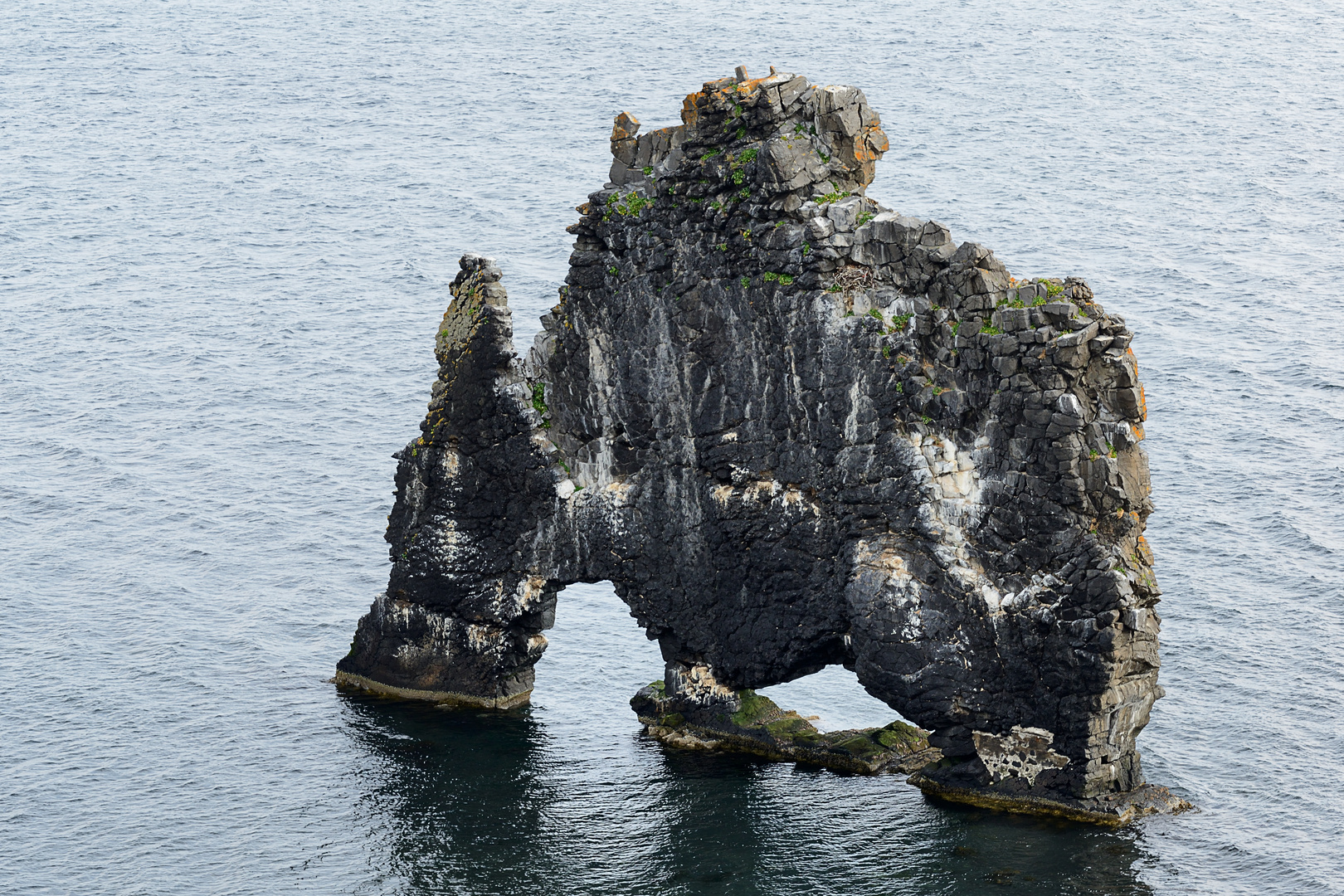 Der Trollfelsen Hvítserkur