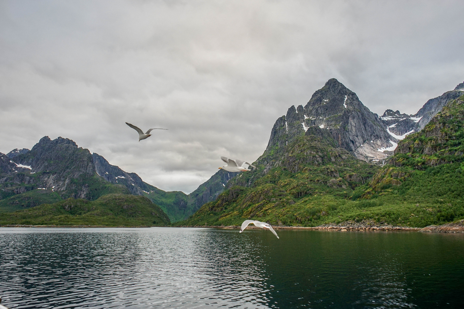 Der Trollfjord in Norwegen.