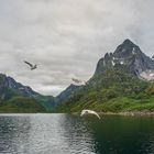 Der Trollfjord in Norwegen.