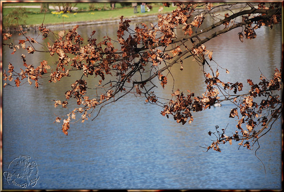 Der trotzige Rest vom Herbst / Winter