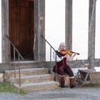 Der Troubadour.  Oder eine Weile aufdem Dörpel.                    DSC_7035