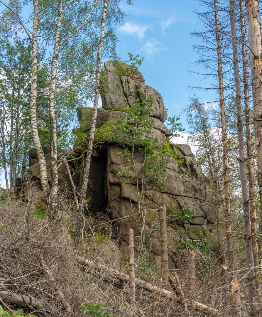 Der Trudenstein im Harz