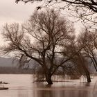 Der trübe Tag und das Hochwasser_1