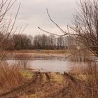 Der trübe Tag und das Hochwasser_2