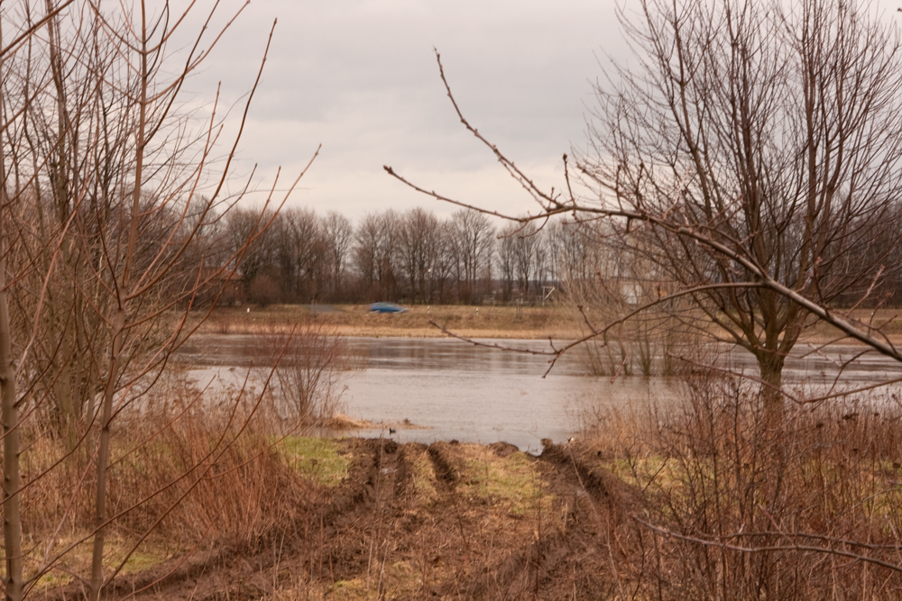 Der trübe Tag und das Hochwasser_2