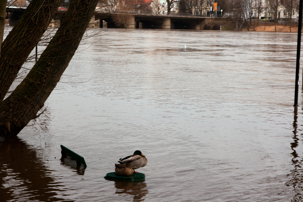 Der trübe Tag und das Hochwasser_4