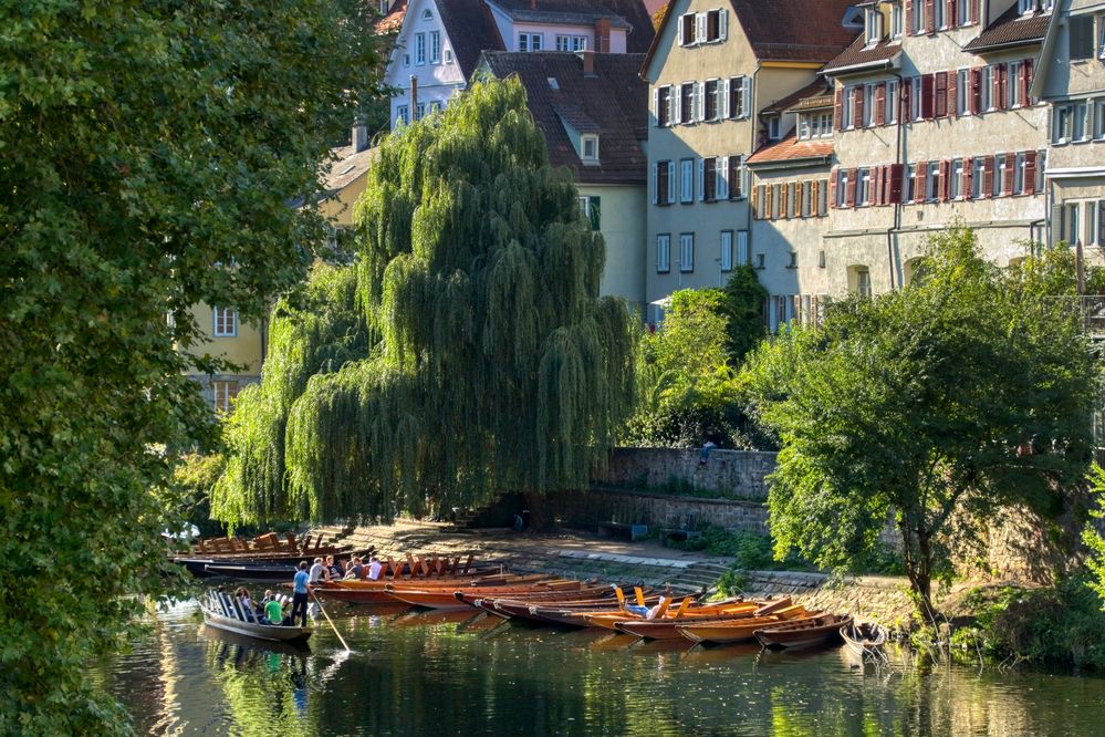 der Tübingen-Klassiker