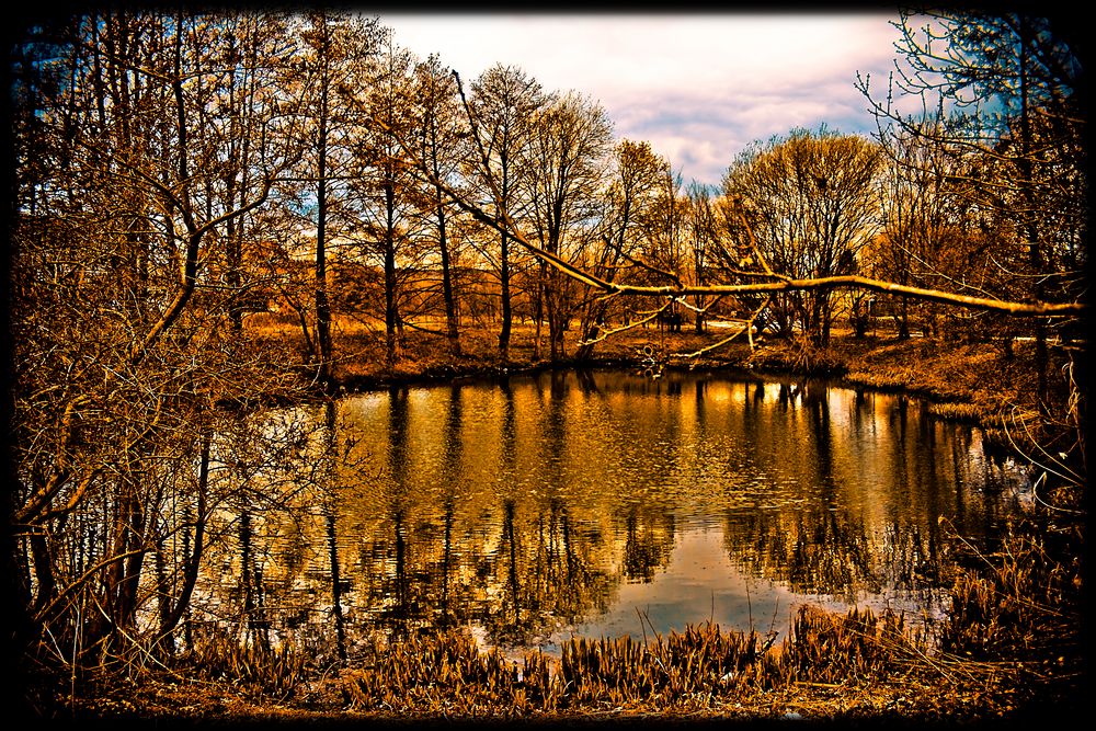 Der Tümpel im Herbst Foto & Bild landschaft, bach, fluss & see, see
