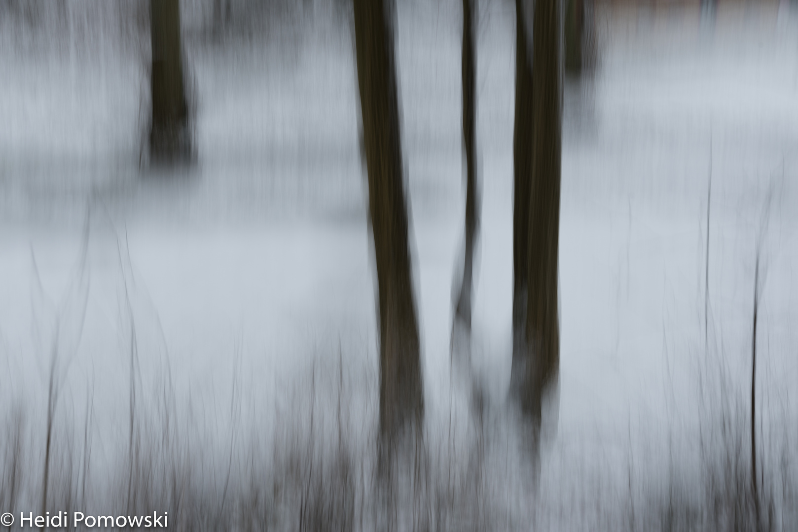 Der Tümpel im Schnee