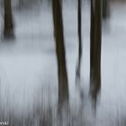 Der Tümpel im Schnee