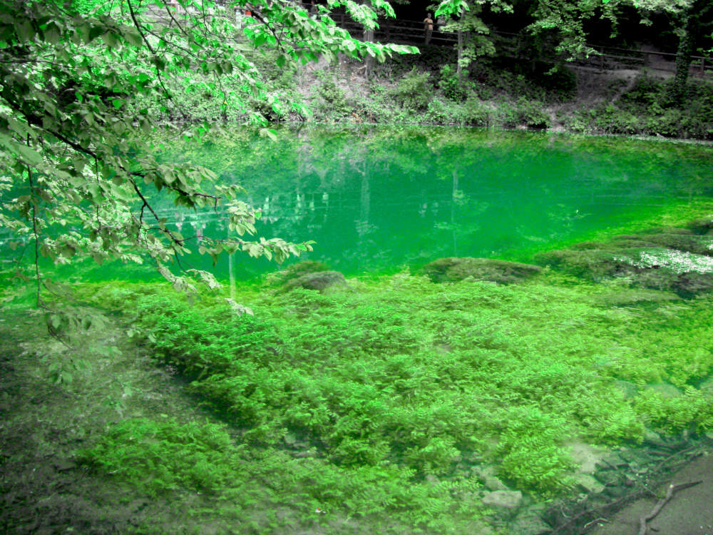 Der Tümpel zur unterirdischen Grotte Foto & Bild landschaft, bach