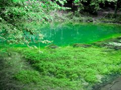 Der Tümpel zur unterirdischen Grotte