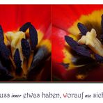 Der Tulpe innerstes.