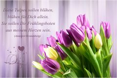 Der Tulpenstrauss