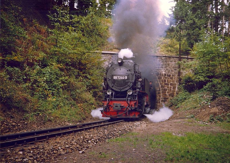 Der Tunnel im Harz am Thumkuhlenkopf