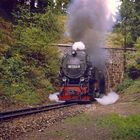 Der Tunnel im Harz am Thumkuhlenkopf