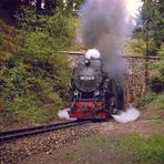 Der Tunnel im Harz am Thumkuhlenkopf