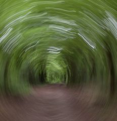 Der Tunnel im Zauberwald