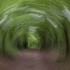 Der Tunnel im Zauberwald
