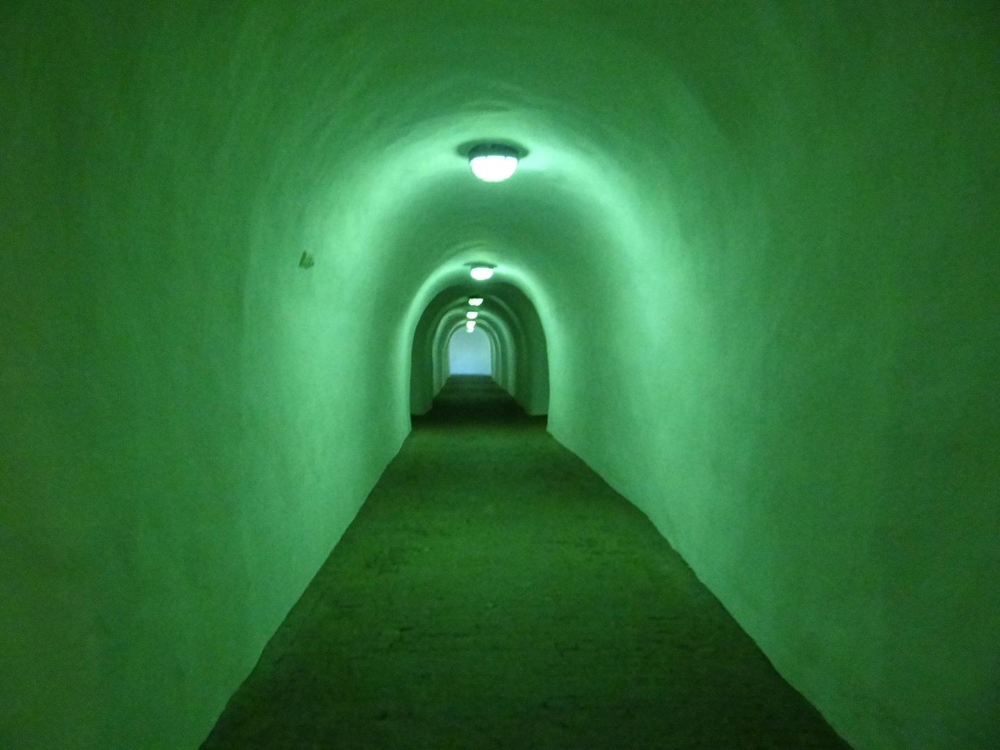 Der Tunnel ins Paradies