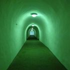 Der Tunnel ins Paradies